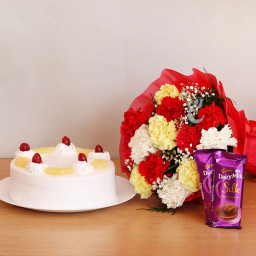 Carnation & Cake With Silk